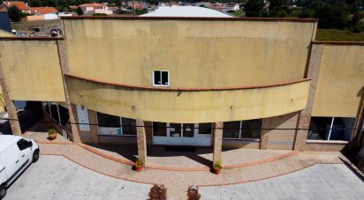 Pavilion T0 in Mira of 924 m²