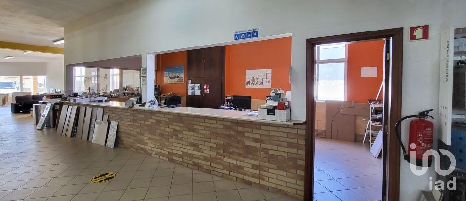 Pavilion T0 in Mira of 924 m²