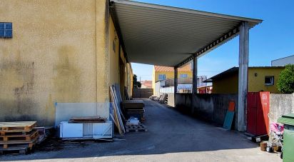 Pavilion T0 in Mira of 924 m²