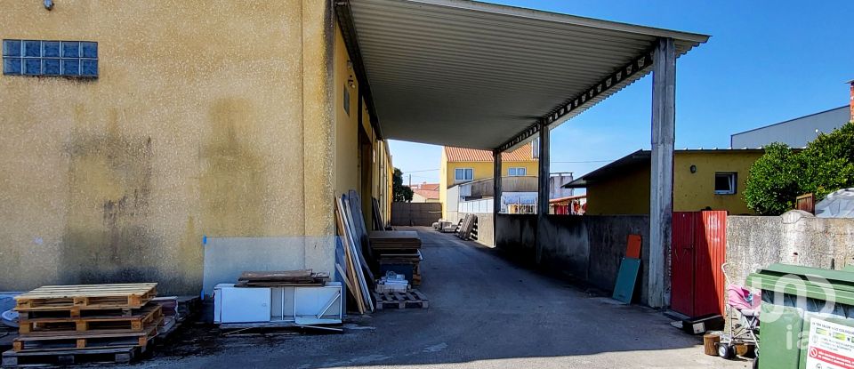 Pavilion T0 in Mira of 924 m²