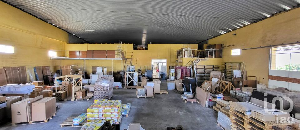 Pavilion T0 in Mira of 924 m²