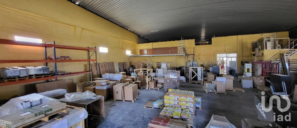 Pavilion T0 in Mira of 924 m²