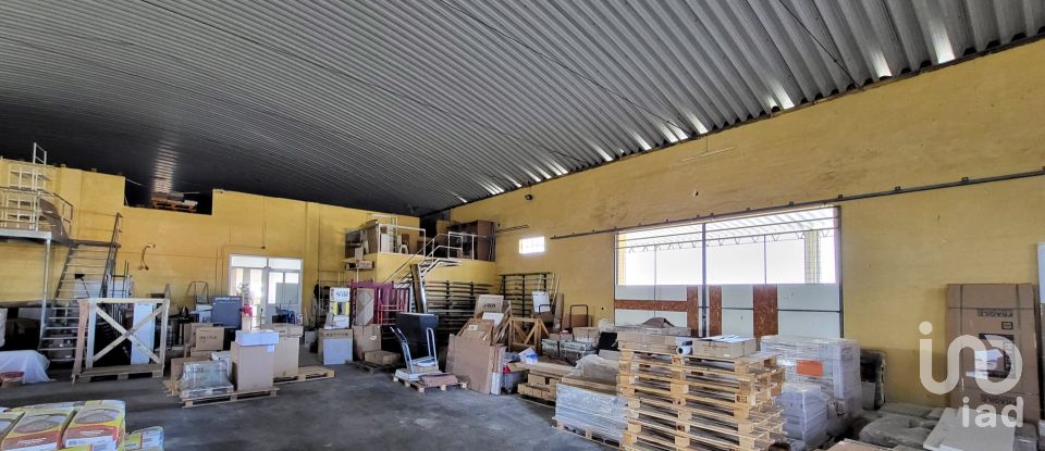 Pavilion T0 in Mira of 924 m²