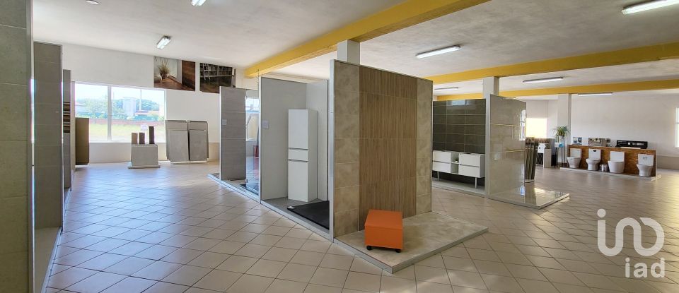 Pavilion T0 in Mira of 924 m²