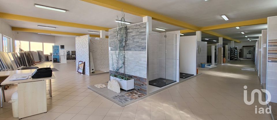 Pavilion T0 in Mira of 924 m²