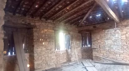 Maison rustique T0 à Campelo de 50 m²