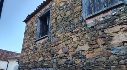 Maison rustique T0 à Campelo de 50 m²