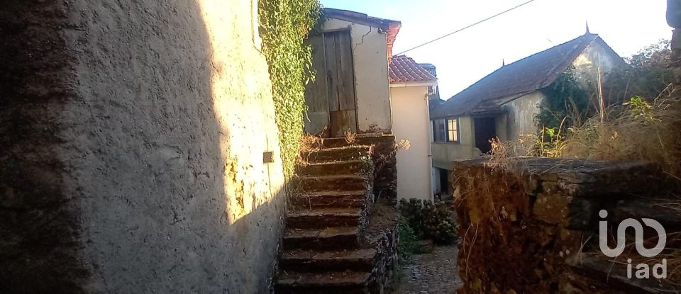 Casa de Campo T0 em Campelo de 50 m²