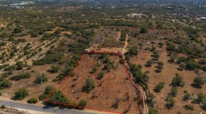 Terrain à Conceição e Estoi de 5 480 m²