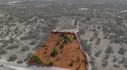 Terrain à Conceição e Estoi de 5 480 m²