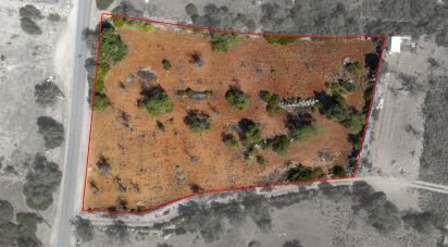 Terrain à Conceição e Estoi de 5 480 m²