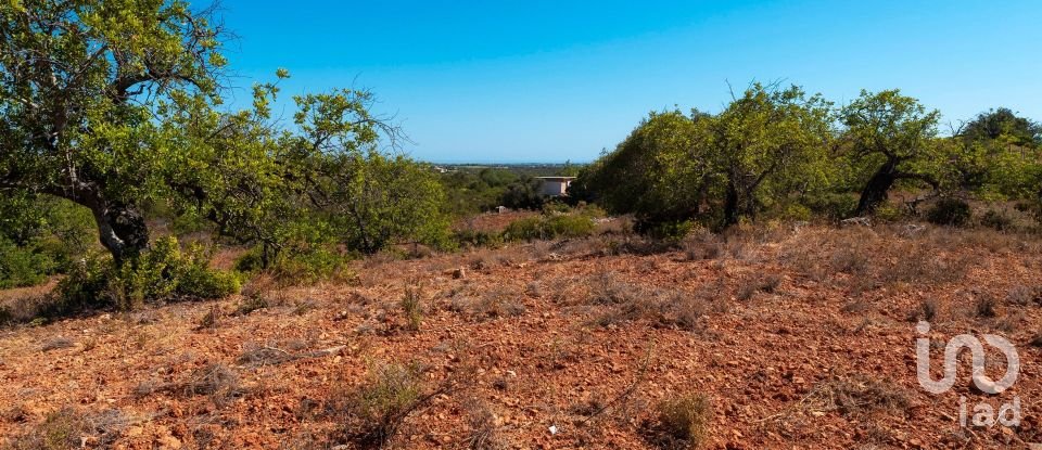 Terrain à Conceição e Estoi de 5 480 m²