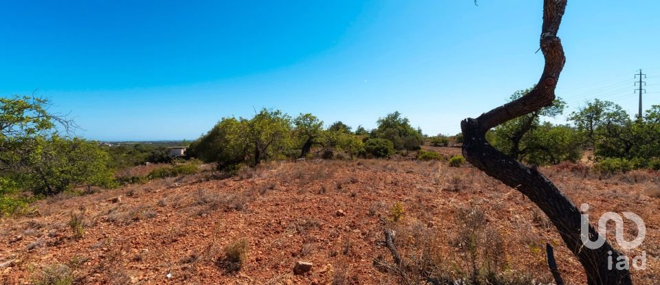 Terrain à Conceição e Estoi de 5 480 m²