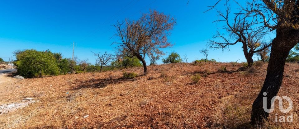 Terrain à Conceição e Estoi de 5 480 m²