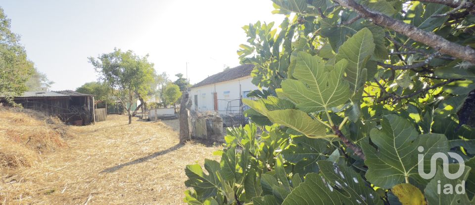 Casa de Campo T3 em São Vicente do Paul e Vale de Figueira de 145 m²