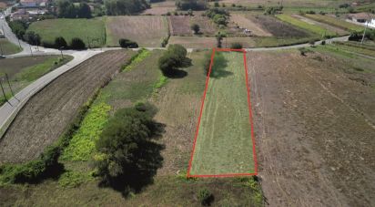 Terrain agricole à Cacia de 1 671 m²