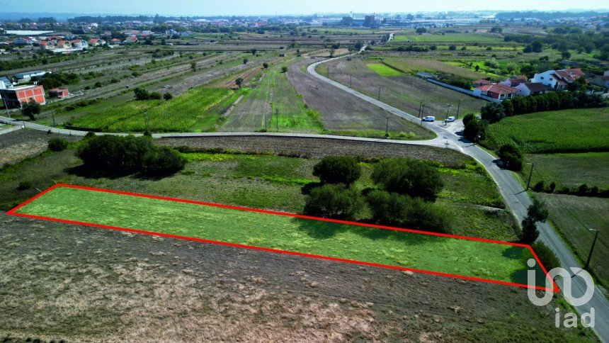 Terrain agricole à Cacia de 1 671 m²