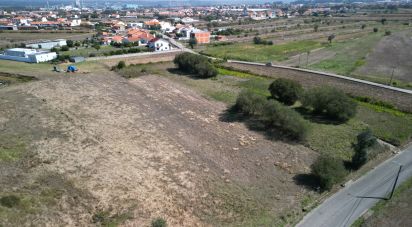 Terrain agricole à Cacia de 1 671 m²