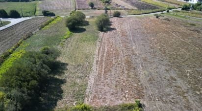 Farm land in Cacia of 1,671 m²