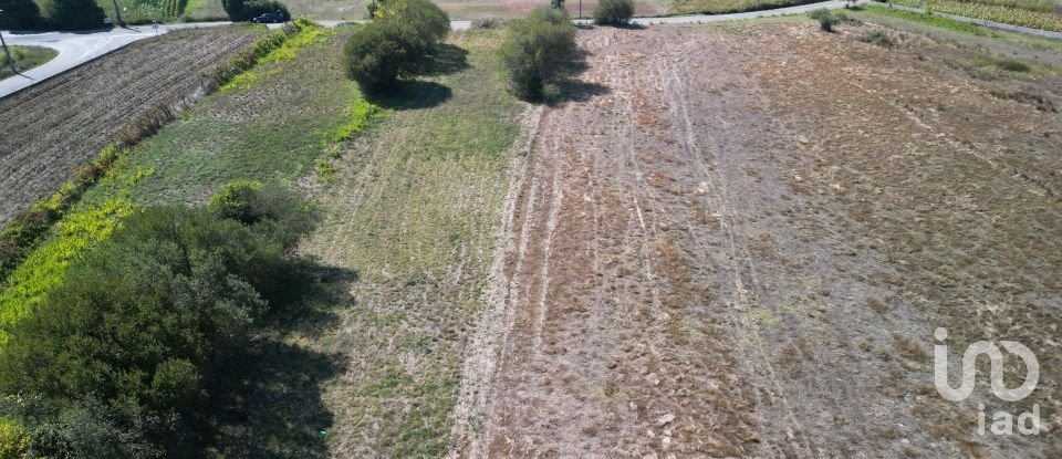 Terrain agricole à Cacia de 1 671 m²