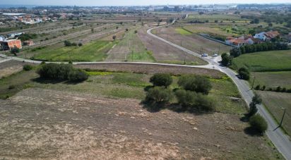 Terrain agricole à Cacia de 1 671 m²