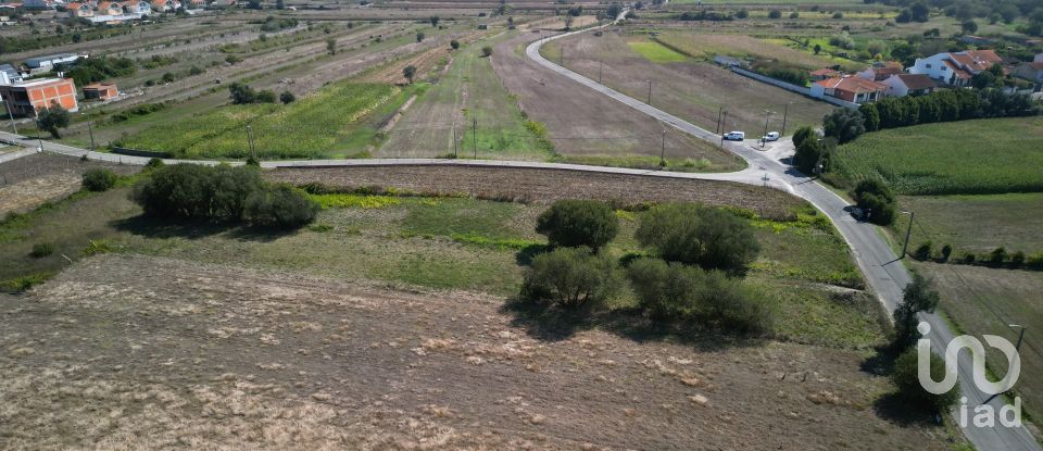 Terrain agricole à Cacia de 1 671 m²