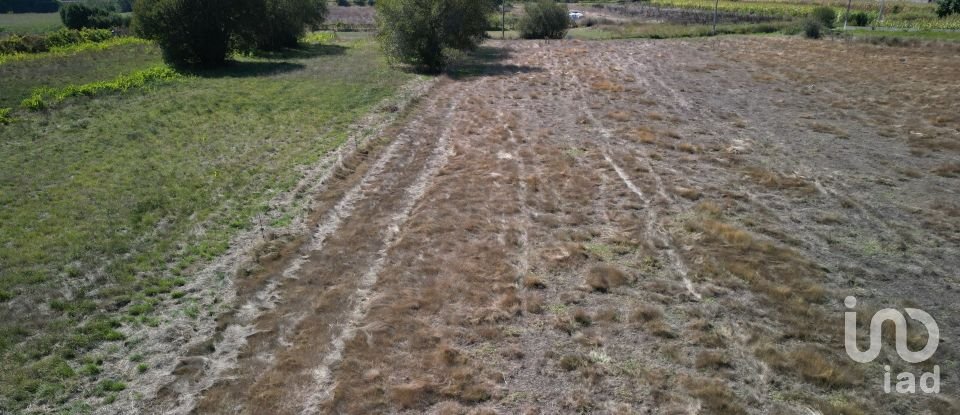 Terrain agricole à Cacia de 1 671 m²