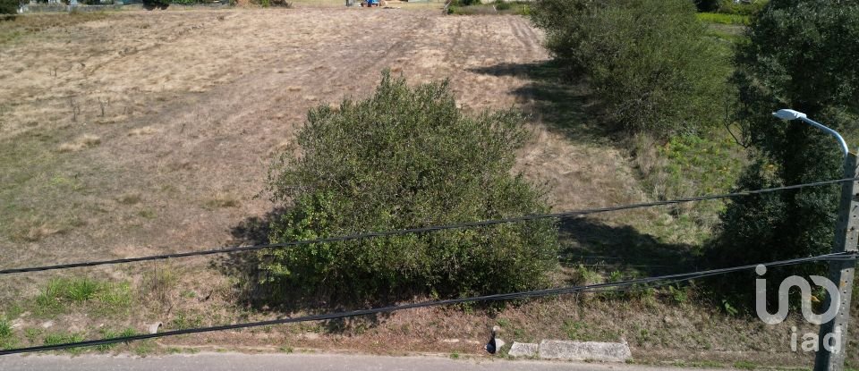 Terrain agricole à Cacia de 1 671 m²