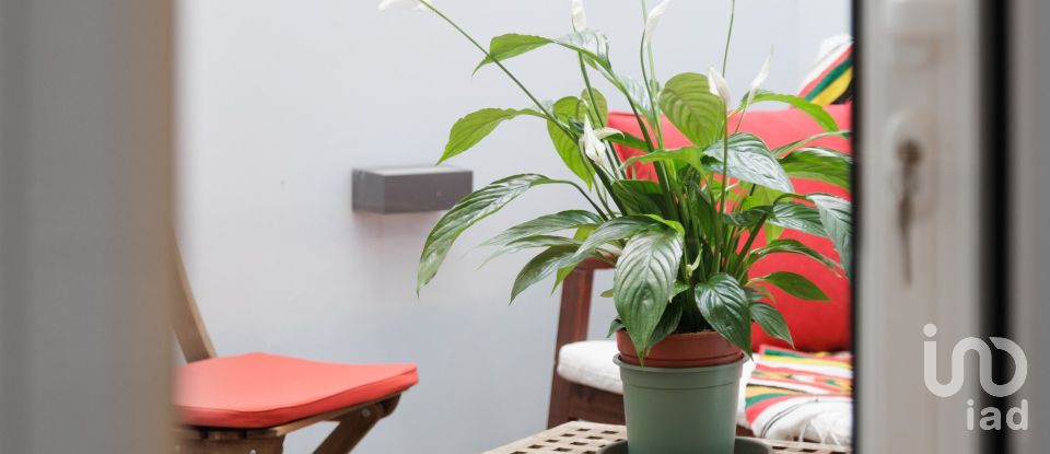 Apartamento T1 em São Vicente de 75 m²