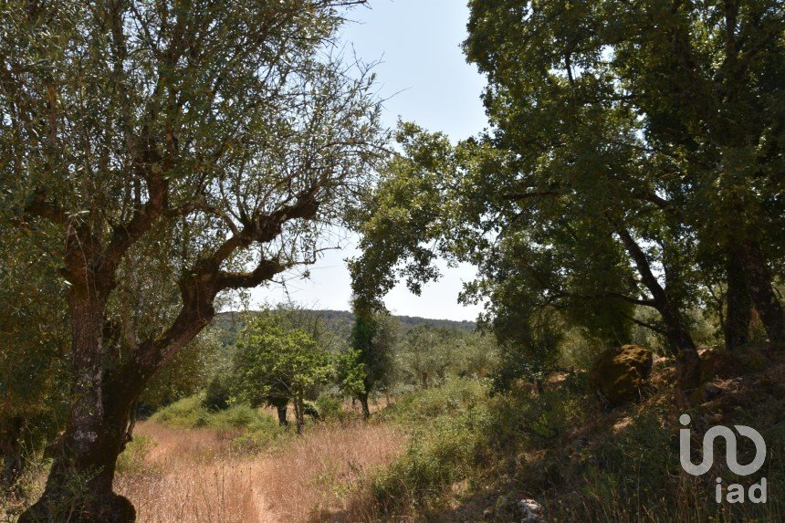 Terrain à bâtir à Chãos de 2 520 m²