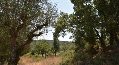 Building plot in Chãos of 2,520 m²