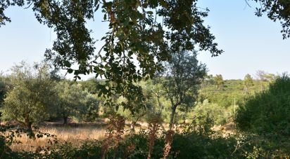 Building plot in Chãos of 2,520 m²