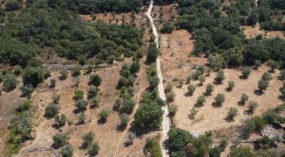 Building plot in Chãos of 2,520 m²