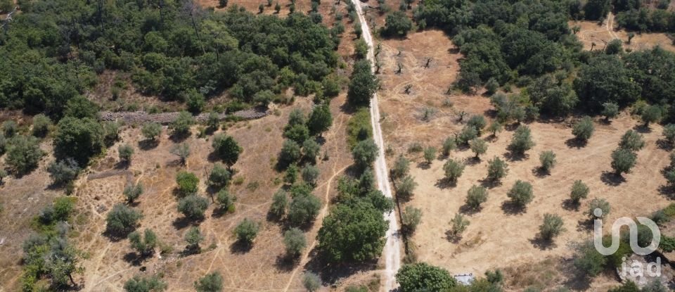 Terrain à bâtir à Chãos de 2 520 m²