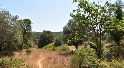 Building plot in Chãos of 2,520 m²