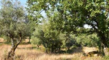 Terrain à bâtir à Chãos de 2 520 m²