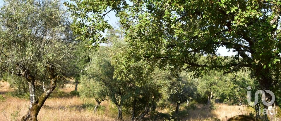 Terrain à bâtir à Chãos de 2 520 m²