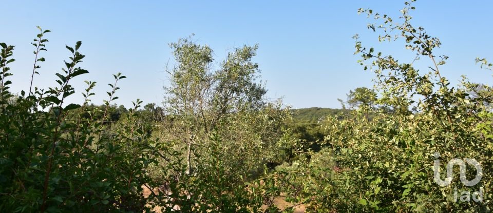 Terrain à bâtir à Chãos de 2 520 m²