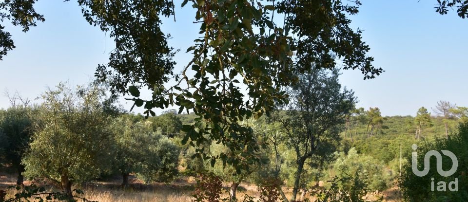 Terrain à bâtir à Chãos de 2 520 m²