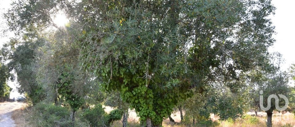 Terrain à bâtir à Chãos de 2 520 m²