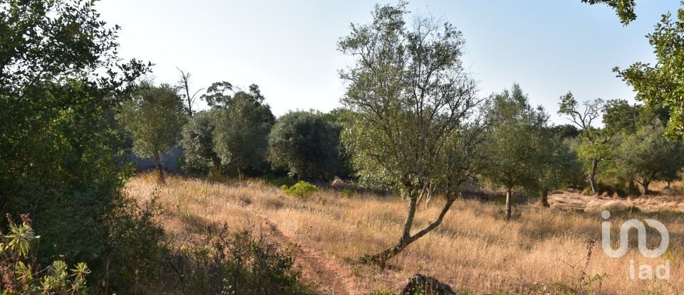 Terrain à bâtir à Chãos de 2 520 m²