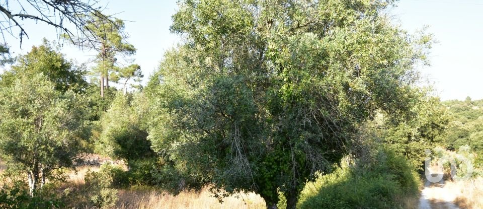 Terrain à bâtir à Chãos de 2 520 m²