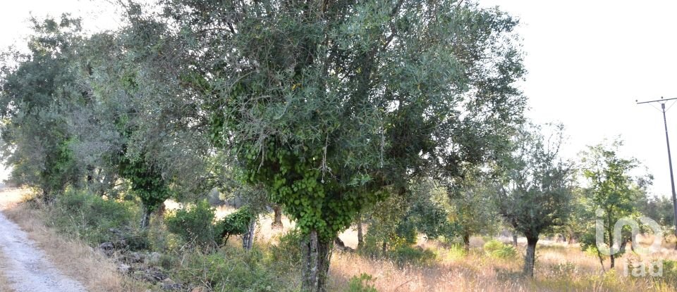 Terrain à bâtir à Chãos de 2 520 m²