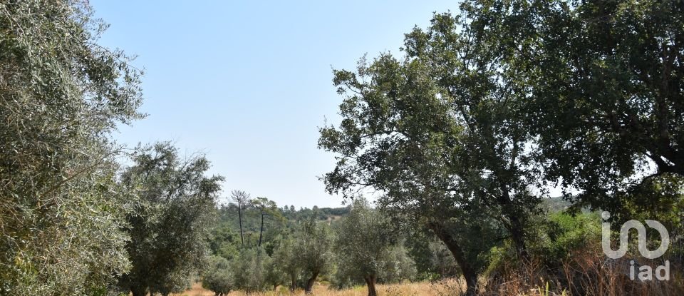 Terrain à bâtir à Chãos de 2 520 m²