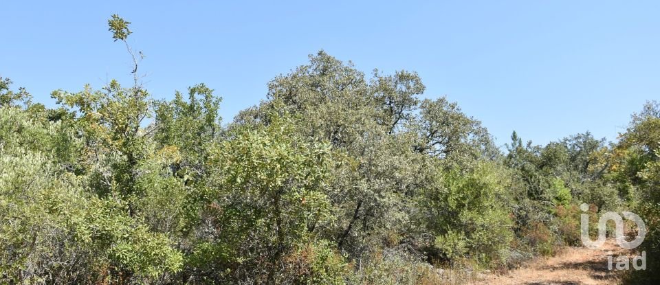 Terrain à bâtir à Chãos de 2 520 m²
