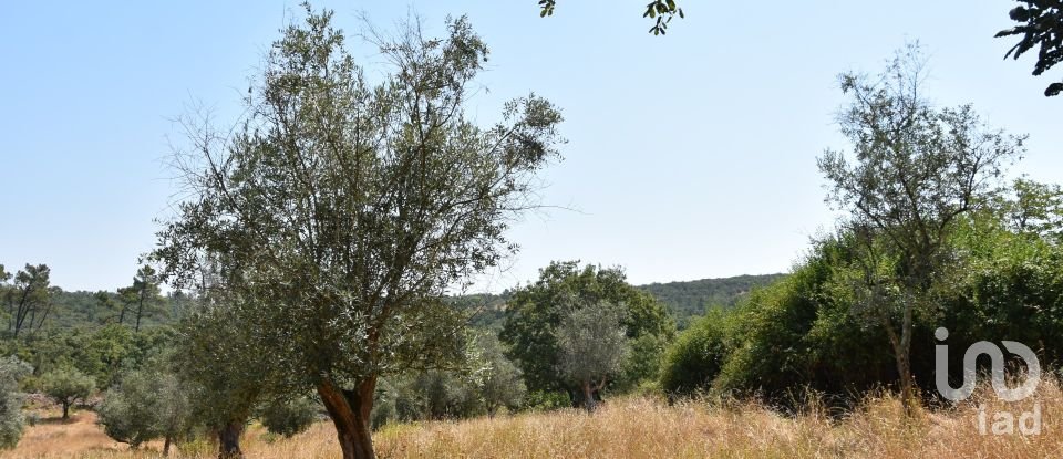 Terrain à bâtir à Chãos de 2 520 m²