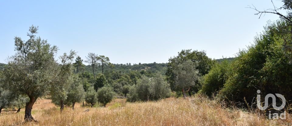 Terrain à bâtir à Chãos de 2 520 m²