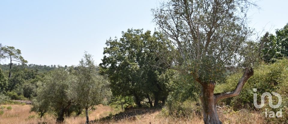 Terrain à bâtir à Chãos de 2 520 m²