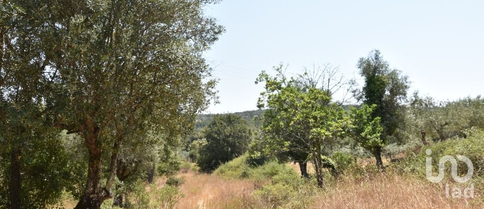 Terrain à bâtir à Chãos de 2 520 m²
