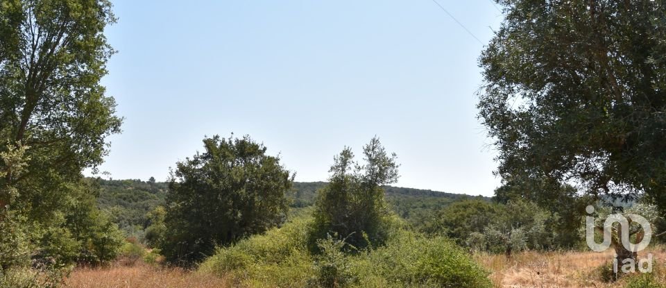 Terrain à bâtir à Chãos de 2 520 m²